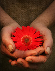 2007-11-18_hands-holding-flower-2